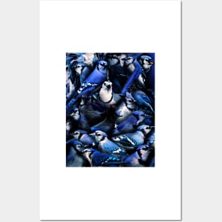 Blue Jay Posters and Art